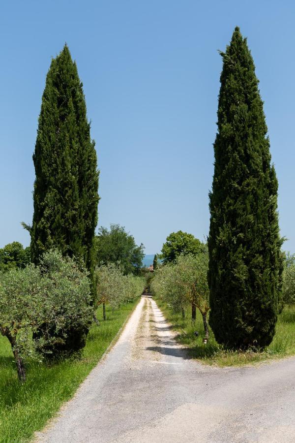 Villa Il Rossignolo Grassina Kültér fotó